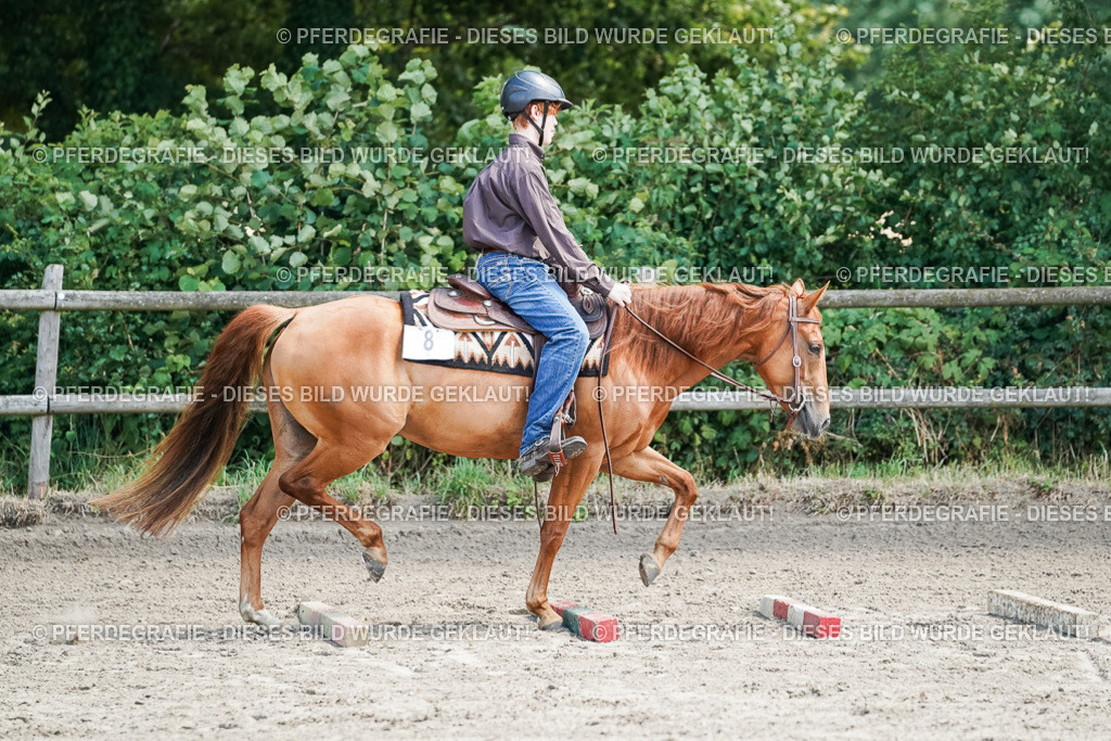 DSC07596 | Pferdegrafie