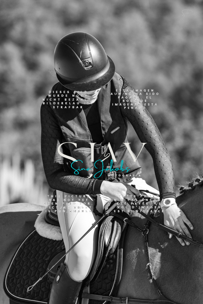 IMG_6498-2 | s-jay-photography - Realisiert mit Pictrs.com