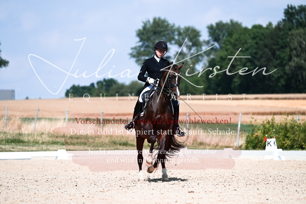 DSC_2964 | Pferde- und Turnierfotografie in Westsachsen. Pferdeportraits, Auftragszeichnungen und intuitive Kunst.