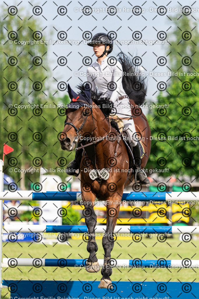 CL5A0187 | Emilia Reinking Fotografie - Realisiert mit Pictrs.com