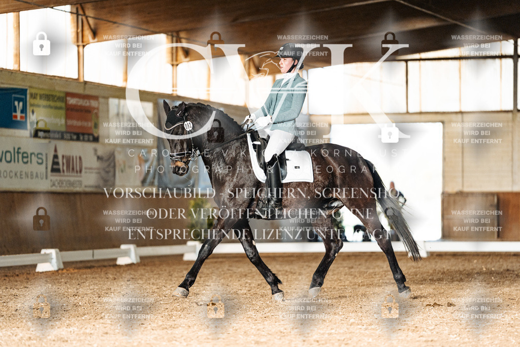 CK903210 | Turnierfotografie Pferdefotografie Trier Rheinland-Pfalz Pferdesport Reitsport Tierfotografie Sportfotografie Pferdevideo Pferdevideografie Equestrianvideography equestrianphotography  - Realisiert mit Pictrs.com