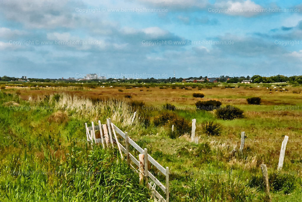 PDM2_0792_Tinnum-Wiesen_180x120 | DIGITALKUNST. Wiesen-Idylle. __ Holzgatter südlich Tinnum auf Sylt. Blick Richtung Westerland. - Realisiert mit Pictrs.com