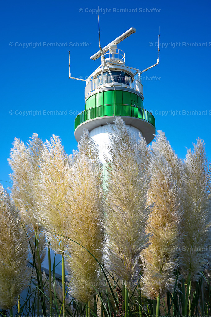  Pampasgras und Leuchtturm Bülk  | Ein Büschel Pampasgras und im Hintergrund der Leuchtturm Bülk an der Kieler Förde.  - Realisiert mit Pictrs.com