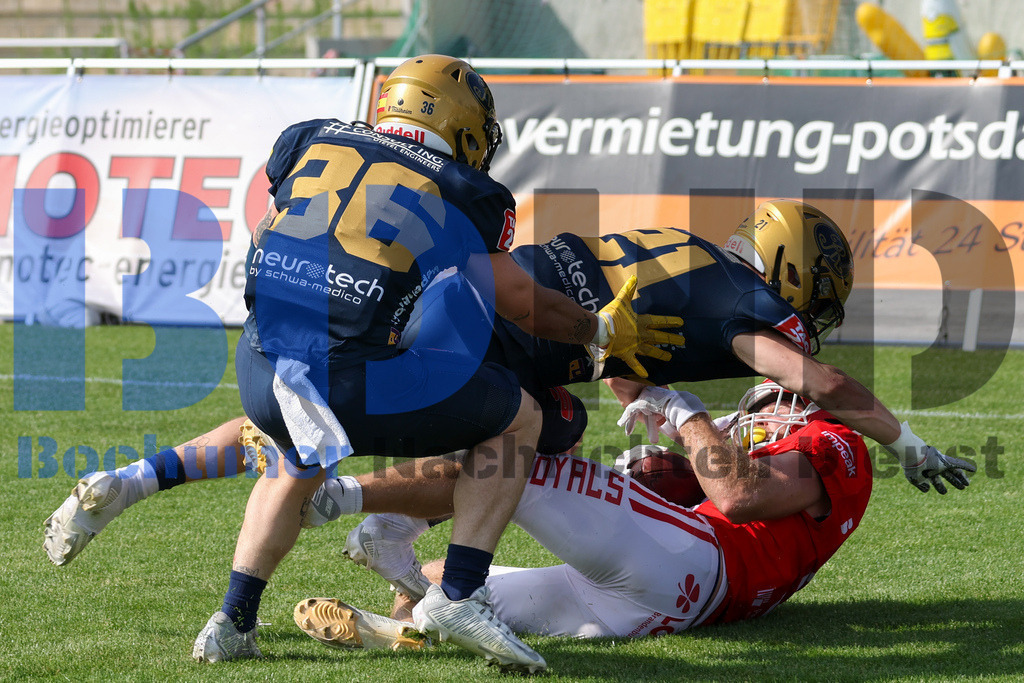GFL: Potsdam Royals vs. Dresden Monarchs{date} -  | {headline}(Foto: Thomas Sobotzki / BOND) - Realisiert mit Pictrs.com