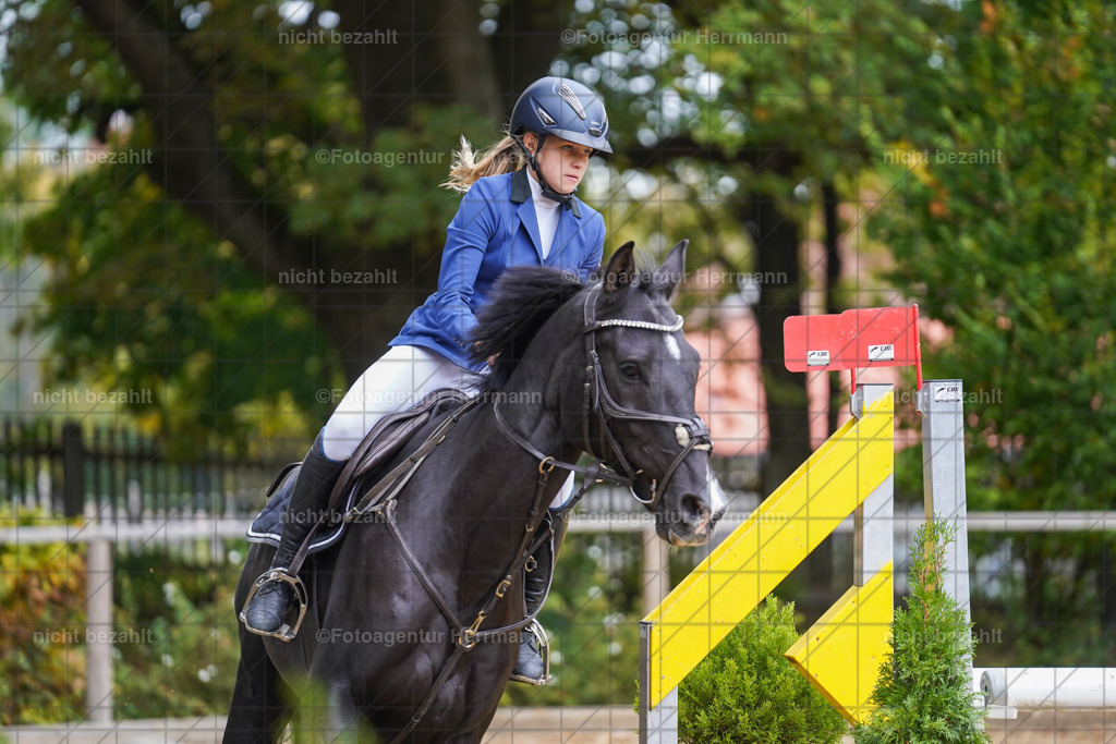20221009-FAH08894 | Diessen am Ammersee, 2022, Dressur- und Springturnier, Reitsportbilder, Turnierfotografen Bayern, Pferdefotografen, Fotoagentur Herrmann, Turnierbilder