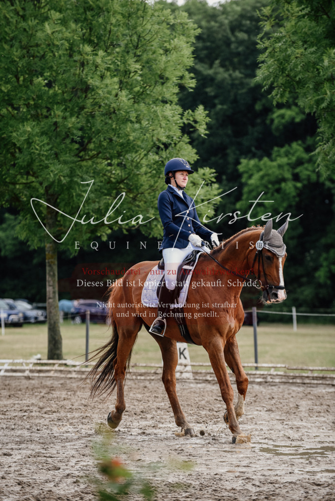 DSC_9886 | Pferde- und Turnierfotografie in Westsachsen. Pferdeportraits, Auftragszeichnungen und intuitive Kunst.