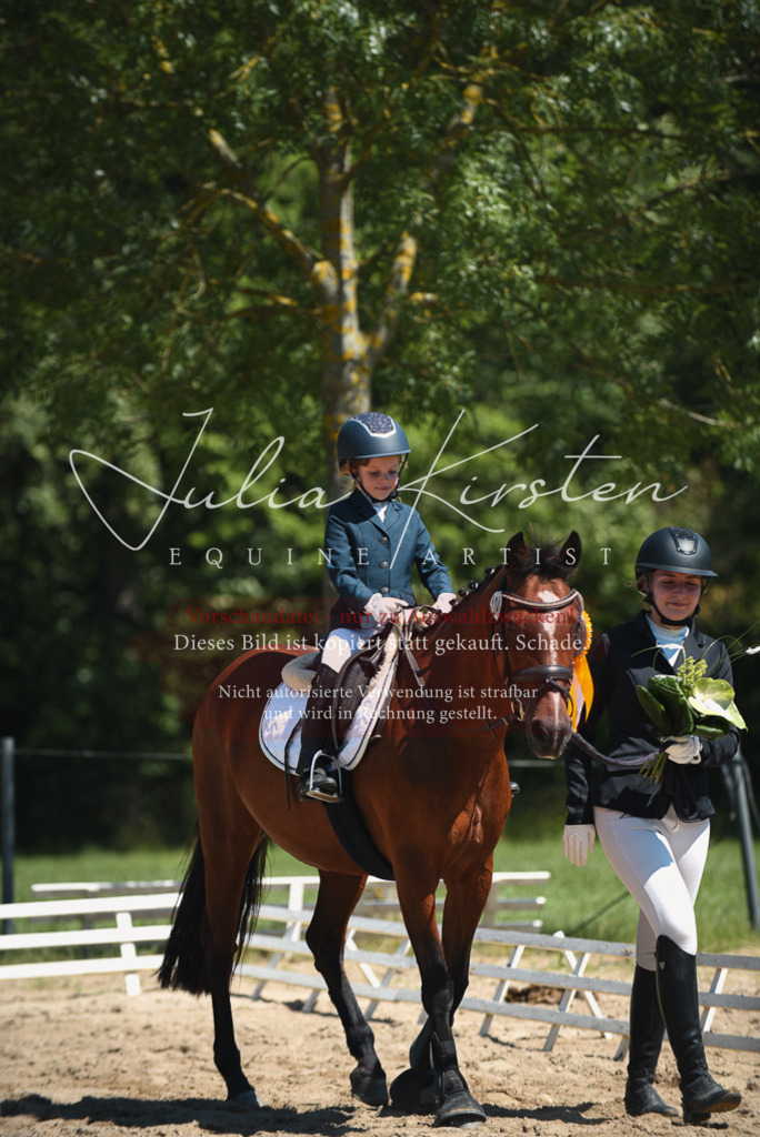 DSC_2122 | Pferde- und Turnierfotografie in Westsachsen. Pferdeportraits, Auftragszeichnungen und intuitive Kunst.