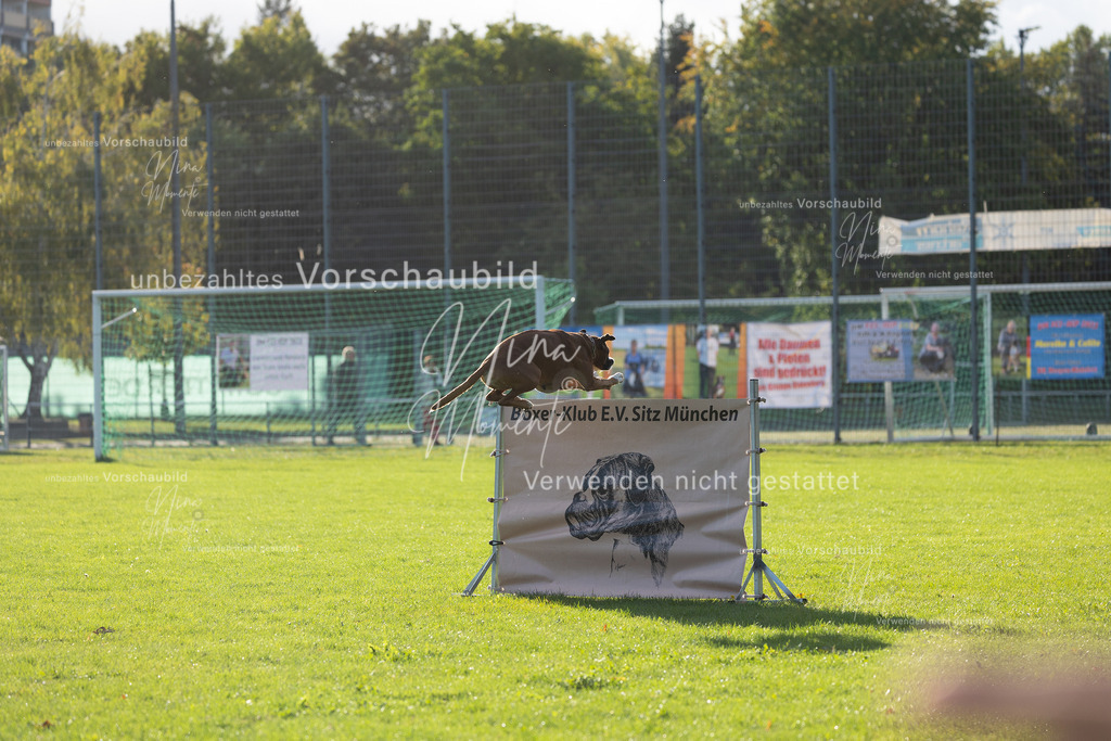 _16A4791 | Einzigartige Fotos von Hunden & Menschen –Actionfotos, Portraits, Vereinsaufnahmen & Paarshootings – authentisch, lebendig & mit Herz.