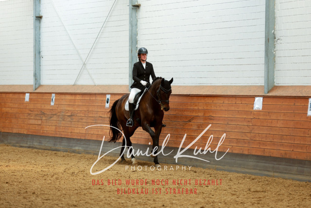 _62_4857 | Turniersportfotografie; Pferdefotografie; Dressurfotografie