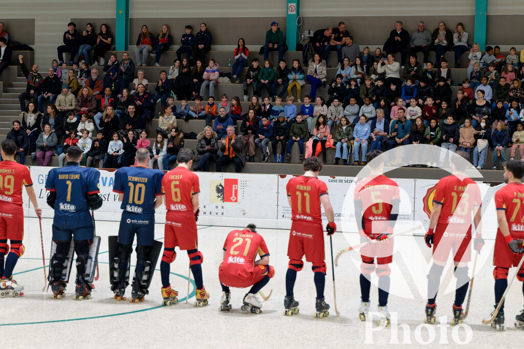LNA  - Geneve RHC v RHC Diessbach  |  during the LNA  match between Geneve RHC and RHC Diessbach  at Centre sportif de la queue d'arve in Geneve, Switzerland