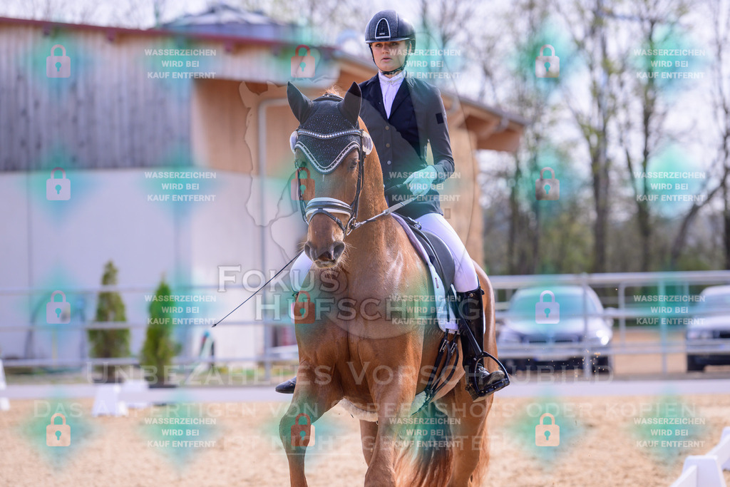 09042026-Mammendorf-Prfg01-0107 | Fokus Hufschlag Fotografie - Realisiert mit Pictrs.com