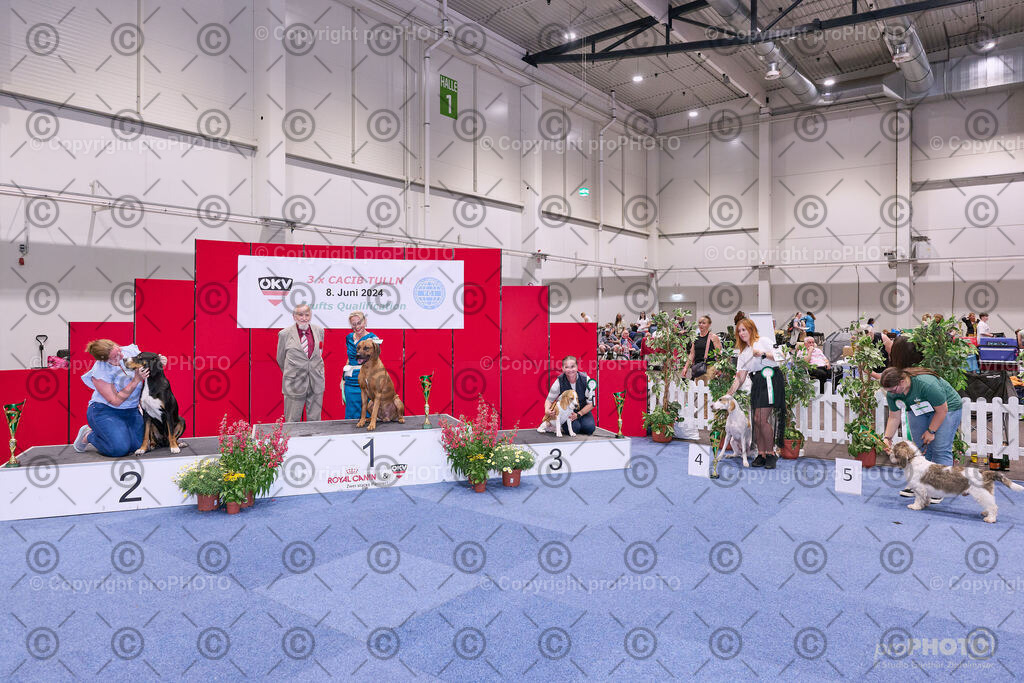 202406_ÖKV-IHA-Tulln24_NZ9_8708 | proPHOTO - Realisiert mit Pictrs.com