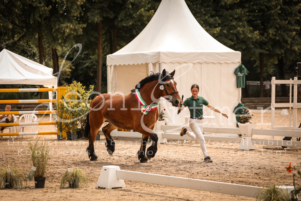 SaSieger00068 | Leoni Ertmer Photography - Realisiert mit Pictrs.com