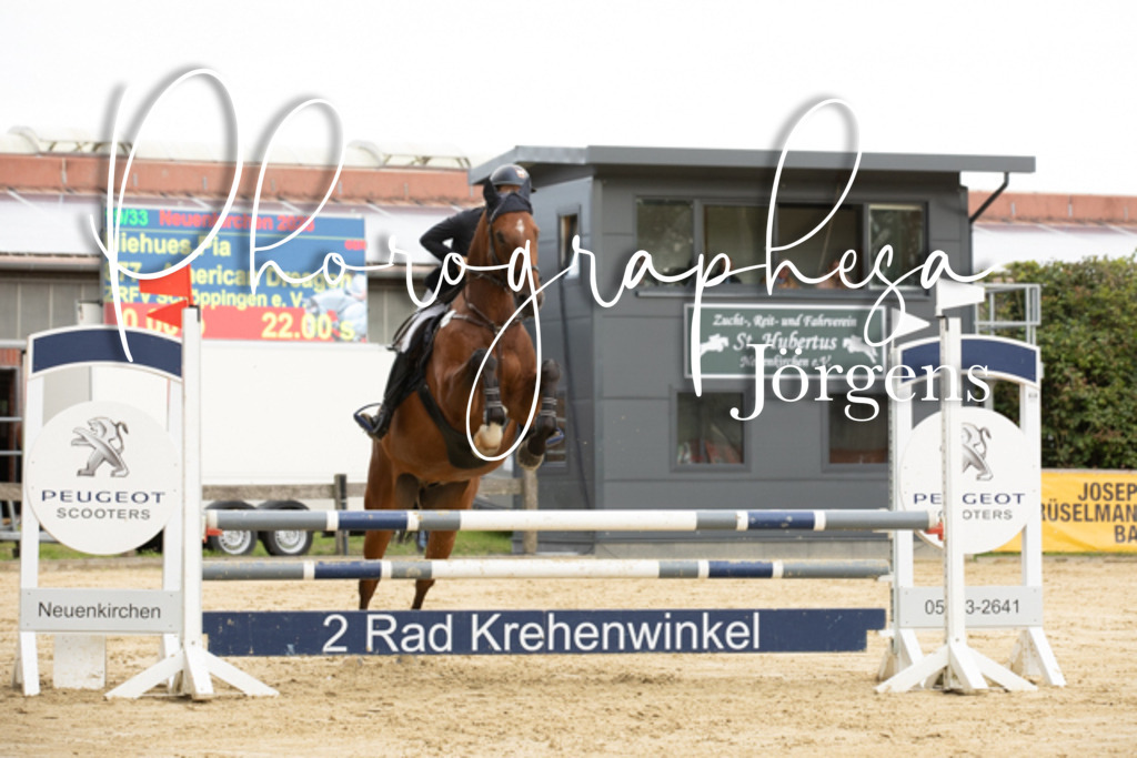 IMG_6585 | photographesa-joergens - Realisiert mit Pictrs.com