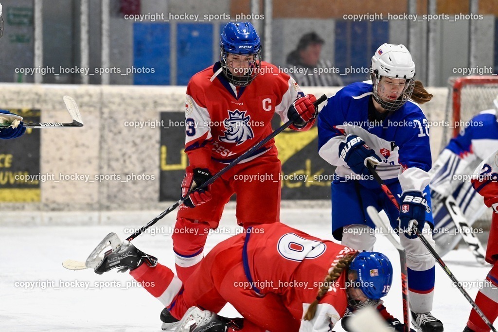 BST_5595 | hockey sports photos, Pressefotos, Sportfotos, hockey247, win 2day icehockeyleague, Handball Austria, Floorball Austria, ÖVV, Kärntner Eishockeyverband, KEHV, KFV, Kärntner Fussballverband, Österreichischer Volleyballverband, Alps Hockey League, ÖFB, 