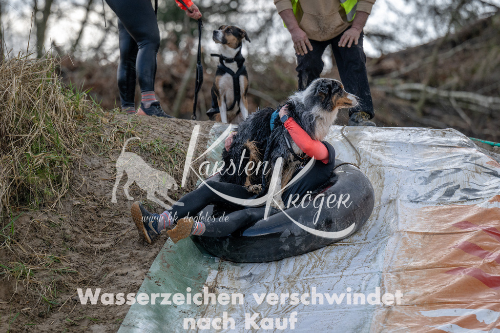 1617_ZZ94843 | kk-dogfotos