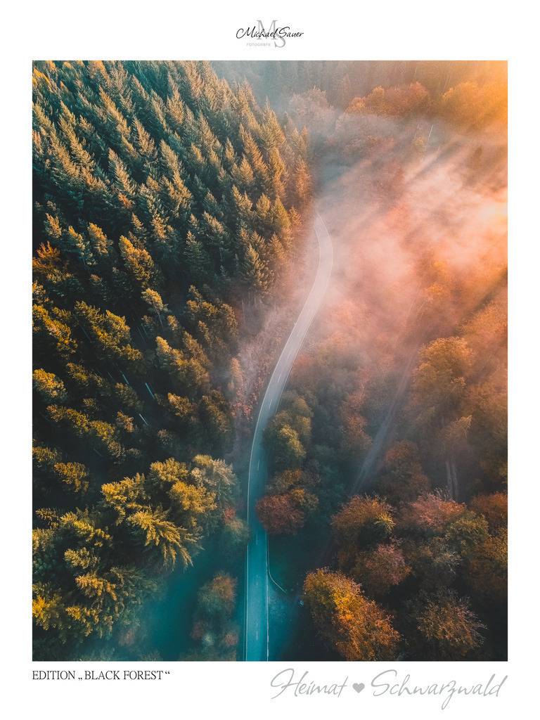Edition "BLACK FOREST" | Motiv: Herbstwald im Morgenlicht. Die beliebtesten Fotografien aus dem Schwarzwald als signierte Sonderedition. Eine exklusive Wanddekoration für alle Liebhaber von traumhaften Schwarzwaldlandschaften. Hochwertige Wandbilder in brillanter Druckqualität auf Acrylglas, Alu-Dibond und Leinwand für Ihr Zuhause – inklusive rückseitige Aufhängung.
 - Realisiert mit Pictrs.com