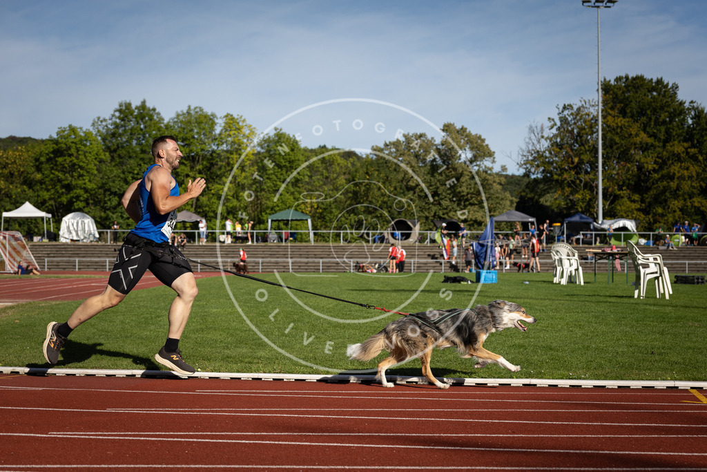 Pfotenfotografie_DV3A9500 | Hundefotografie, Tierfotograf, Pfotenfotografie, Fotoshooting Hund, Hunde Portrait, Hundesport, Hundeportraits, Heideshooting, Hunde, Sportfotograf, Hundefotograf, Turnierhundsport, THS,  - Realisiert mit Pictrs.com