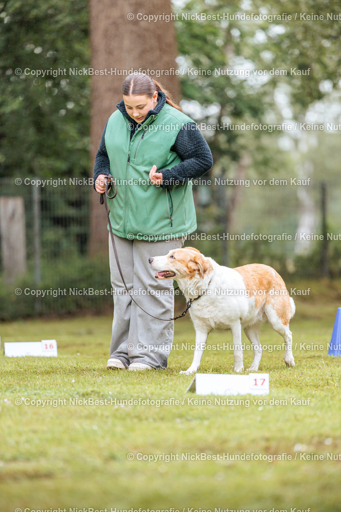 RO-Blumenthal-2026-Nickbest-Hundefotografie-4041 | Dein Hund! Dein Moment! Deine Erinnerungen! Hundefotografie in Bremen Blumenthal. Ich fange die besonderen Momente deines Vierbeiners ein – ob Indoor mit Blitzanlage oder in der freien Natur. Sicher dir dein Moment und dein Termin für eure Erinnerungen.