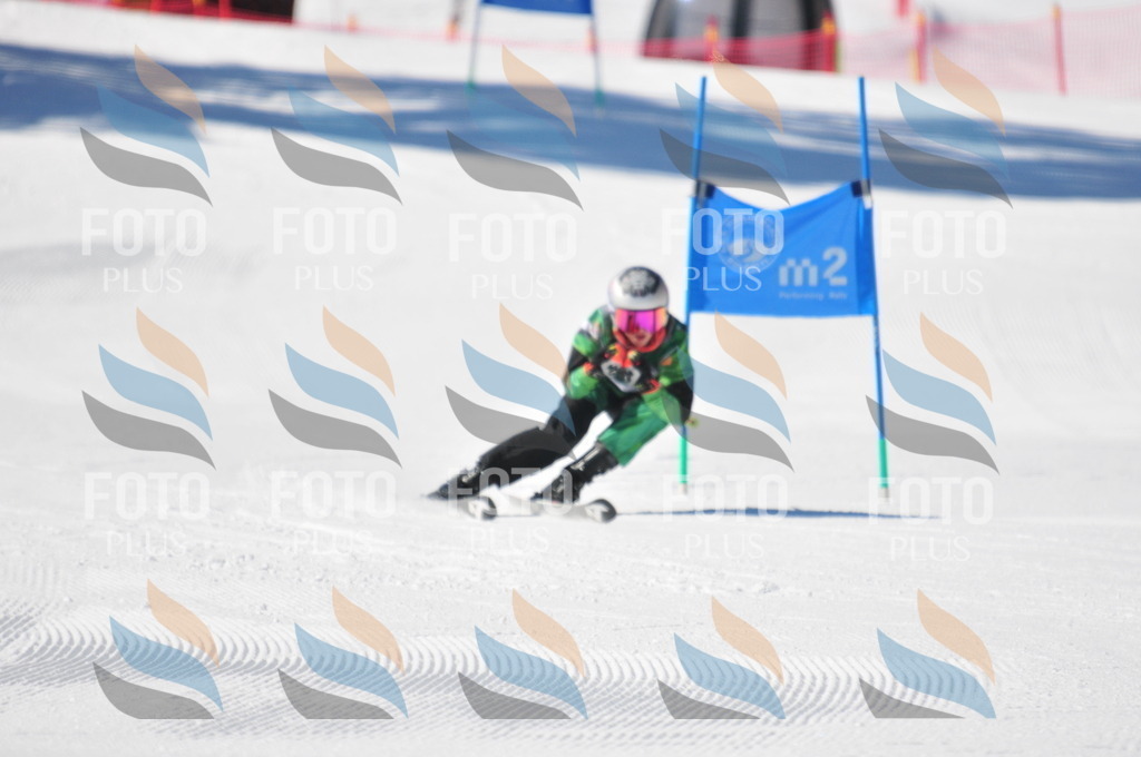 C3596 | holidayphoto