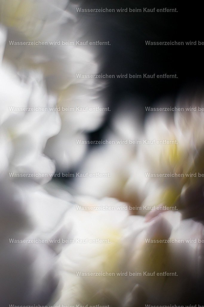 Eintritt in Traumwelten | Die Botschaft zum Bild lautet: Träume dir dein Leben. Deine Träume sind richtungsweisend. In dieser Energie des Bildes werden deine Träume Wirklichkeit. Achte auf deine Ausrichtung deiner Träume. Was willst du wirklich? Und manifestiere es. In dieser hohen Frequenz ist dieses Träumen leicht. Auch hilft dir dieses Bild, wenn du keinen Schlaf findest. Denn Schlaf ist wichtig, um das Bewusste los zu lassen und die Träume hochblubbern zu lassen, wie Seifenblasen.