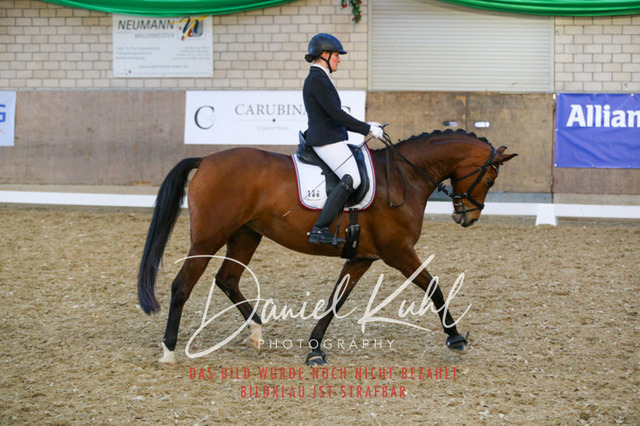 IMG_2981 | Turnierfotos kaufen im Webshop von Daniel Kuhl Photography – entdecke professionelle Reitsportfotos aus Turnieren & Events. Hochwertige Turnierbilder online bestellen & sichern. Jetzt Fotos von Reitsportturnieren kaufen!