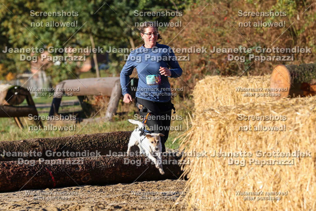 Dog Paparazzi - Strongdog 10-25-1247 | Dog Paparazzi Jeanette Grottendiek Fotografie & Videografie - Realisiert mit Pictrs.com