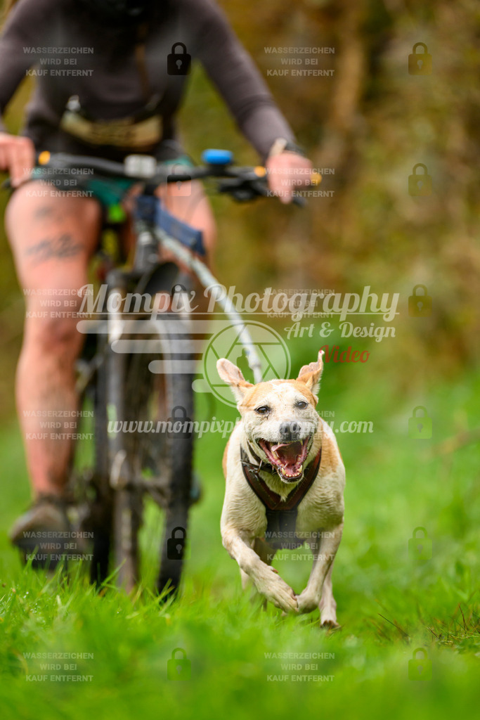 MompixPhotography_20TSB_E8_Bike-161 | PayLife
