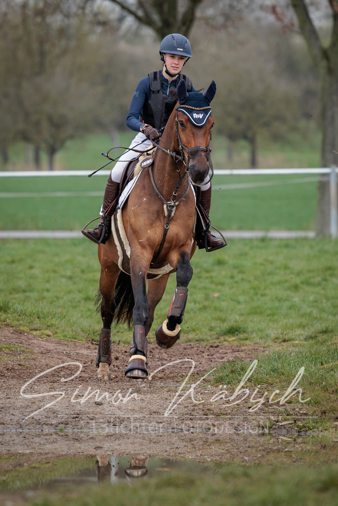 20260329-_3LI3870 | Tierfotografie Pferde, Hunde, Katzen, Haustiere.
Turnierfotografie Reitturniere, Reiten, Springreiten, Dressur in Hanau, dem Main-Kinzig-Kreis und dem Rhein-Main- Gebiet um Frankfurt