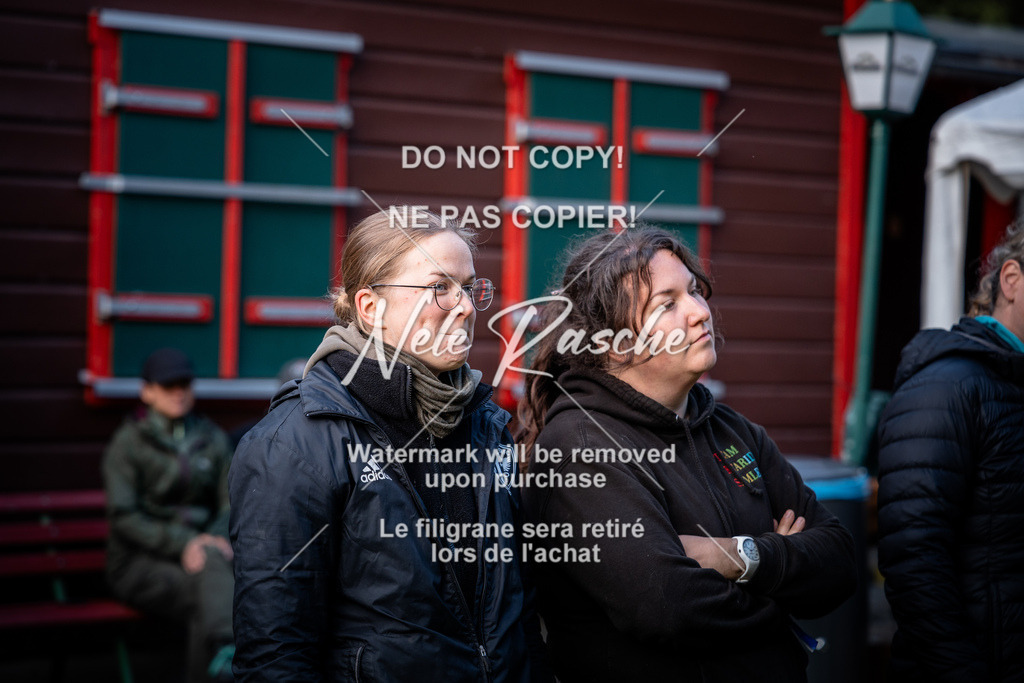 nelerasche_SaAbends_634 | nelerasche