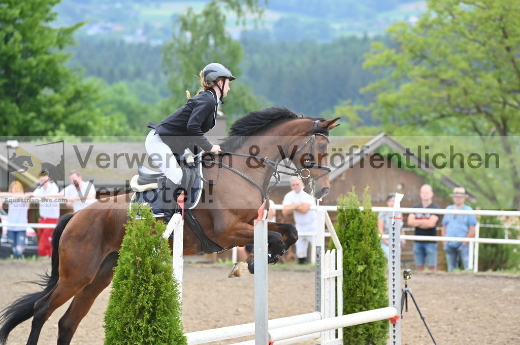 DSC_7867 | equestrian-live-com