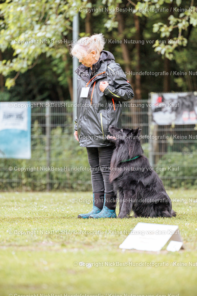 RO-Blumenthal-2026-Nickbest-Hundefotografie-1259 | Dein Hund! Dein Moment! Deine Erinnerungen! Hundefotografie in Bremen Blumenthal. Ich fange die besonderen Momente deines Vierbeiners ein – ob Indoor mit Blitzanlage oder in der freien Natur. Sicher dir dein Moment und dein Termin für eure Erinnerungen.