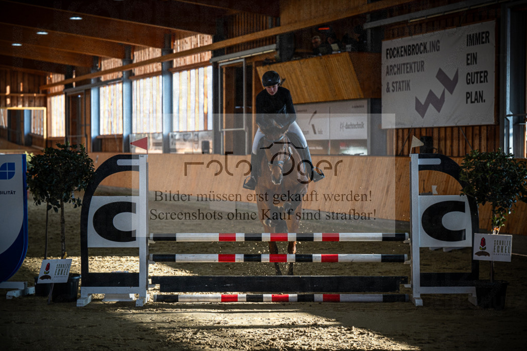 DOS_0724 | Entdecke hochwertige Reitturnierfotos von Foto Oger. Professionell, emotional und authentisch – jetzt Lieblingsmomente im Shop bestellen.Deutschlandweite Turnierfotografie. - Realisiert mit Pictrs.com