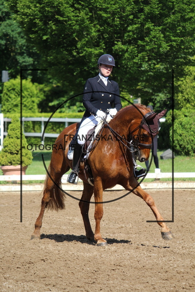 IMG_7019 | franziskalange - Realisiert mit Pictrs.com