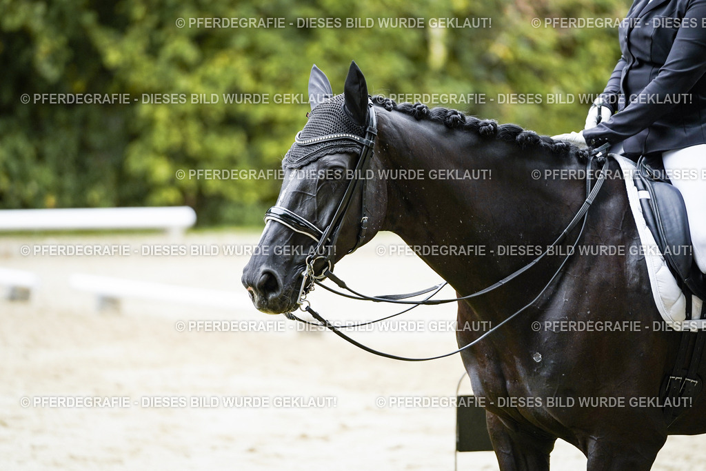 DSC09502 | Pferdegrafie