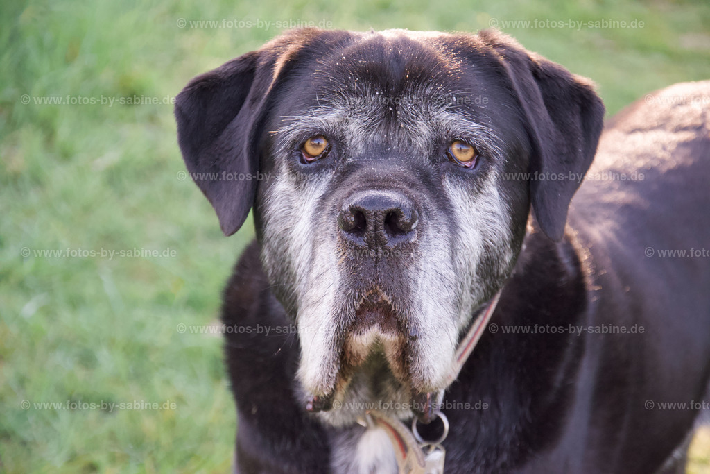 40-220506-Heinrich | fotos-by-sabine - Realisiert mit Pictrs.com