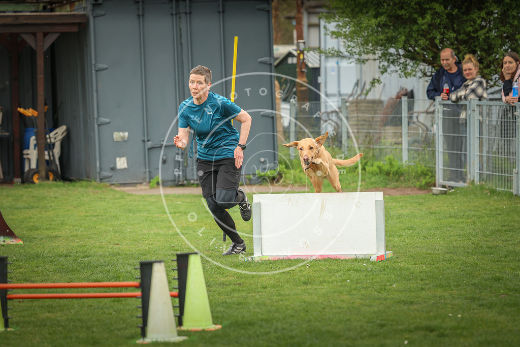 Pfotenfotografie_0L8A0572 | Hundefotografie, Tierfotograf, Pfotenfotografie, Fotoshooting Hund, Hunde Portrait, Hundesport, Hundeportraits, Heideshooting, Hunde, Sportfotograf, Hundefotograf, Turnierhundsport, THS,  - Realisiert mit Pictrs.com