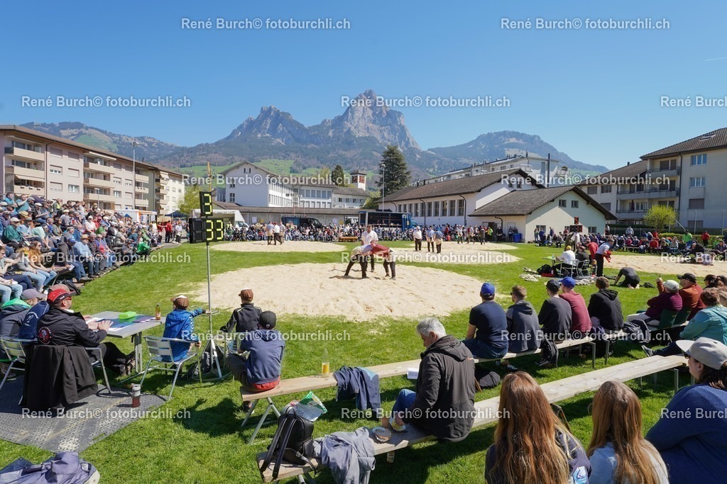 20220418-DSC03344 | René Burch leidenschaftlicher Fotograf aus Kerns in Obwalden.  Hier finden sie Sport, Landschaft und Natur Fotografie.
 - Realisiert mit Pictrs.com