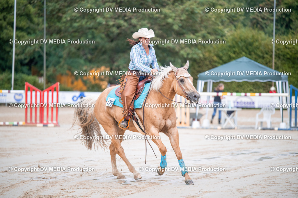 ZS2_4392 | dv-media-shop - Realisiert mit Pictrs.com