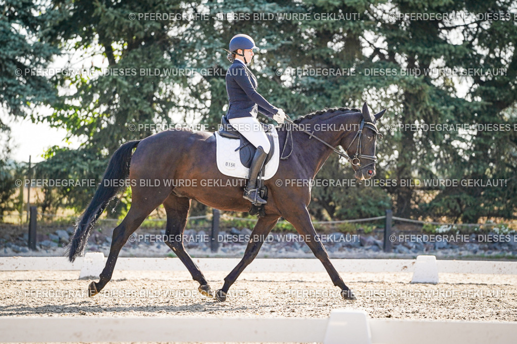 DSC09487 | Pferdegrafie