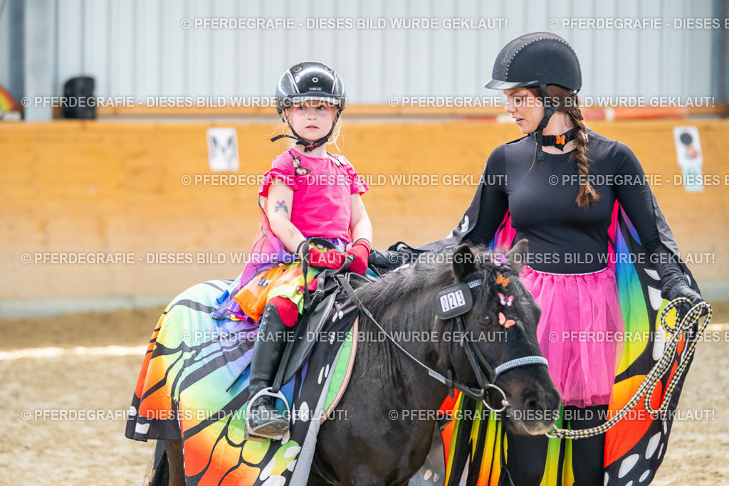 DSC00421 | Pferdegrafie