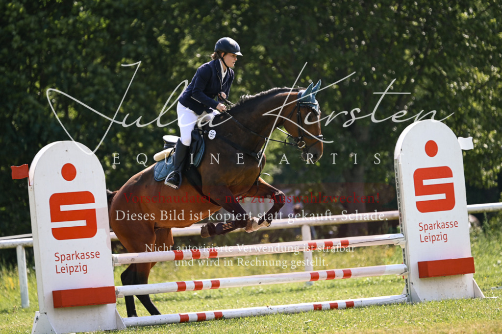DSC_8971 | Pferde- und Turnierfotografie in Westsachsen. Pferdeportraits, Auftragszeichnungen und intuitive Kunst.