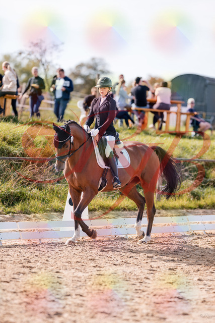 2026_10_03_Siefer-Hof_131528_Z81_63778518 | Professionelle Reitsport-, Turnier- und Eventfotografie von Robert Broda. Galerien mit ausgewählten und bearbeiteten Bildern direkt online ansehen und bestellen.