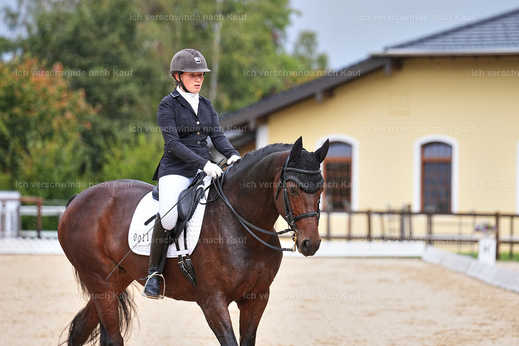 05-011-DRESSUR M_  -Marixx-4961 | working equitationturnier fotograf videograf stoibphotography marixx film working equitation deutschland reitsport turnierfotografie eventfotografie equestrian events