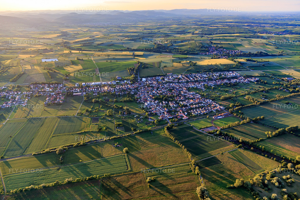 Luftbild: Ortsansicht von Süden in Steinfeld im Bundesland Rheinland-Pfalz in Deutschland. Foto: IMG_115554.jpg vom 16.06.2019 durch Werner Riehm/FLY-FOTO.de