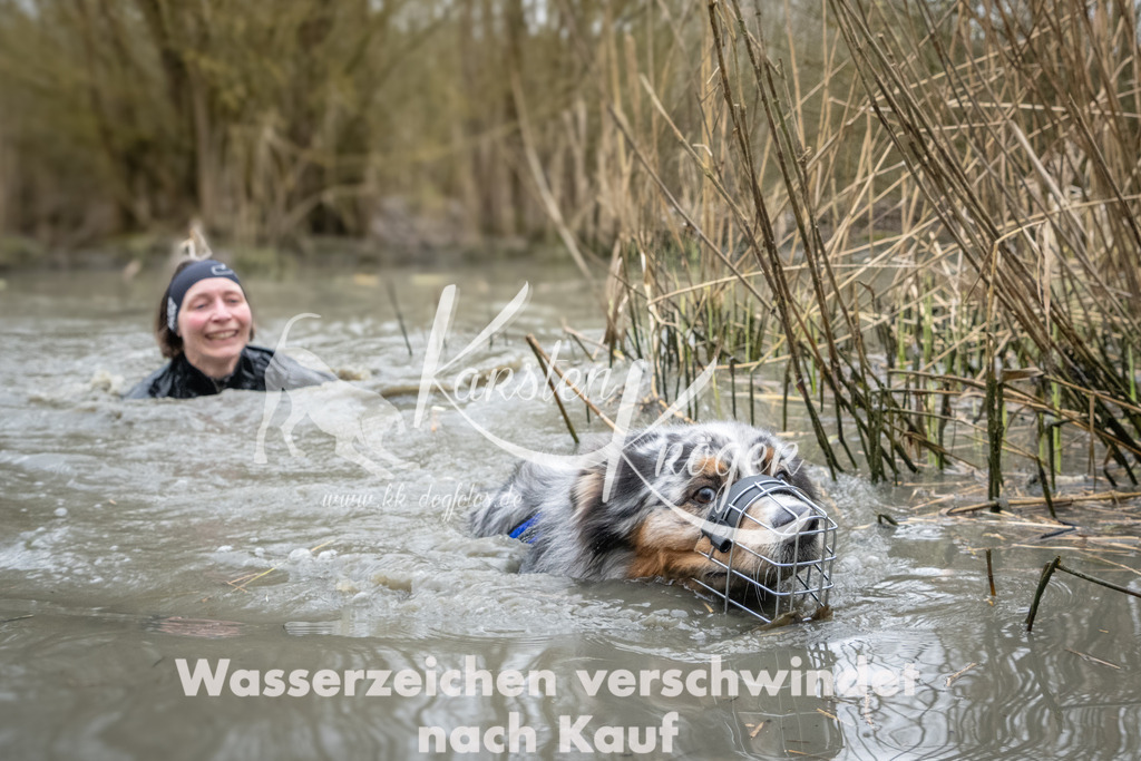 1113_ZZ97764 | kk-dogfotos