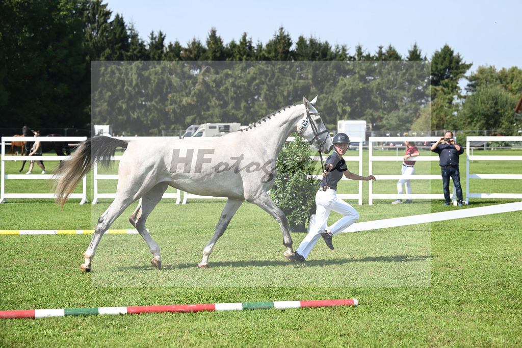 Kat-Nr. 23 nn v. Vingino_Schreder_34240526 | hf-fotografie - Realisiert mit Pictrs.com
