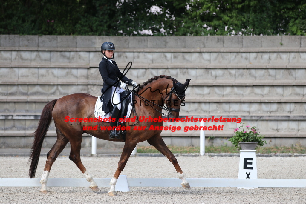 IMG_6847 | lmwpictures - Realisiert mit Pictrs.com