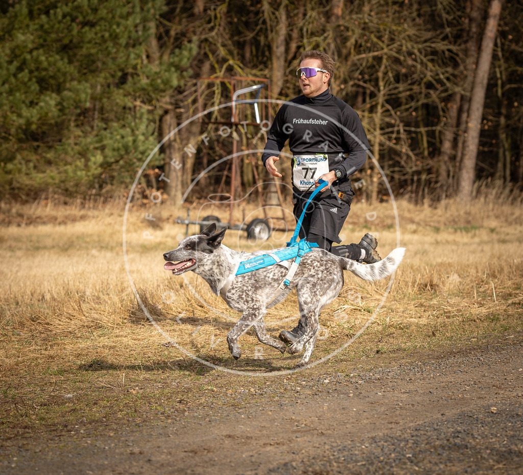 DV3A3676 | Hundefotografie, Tierfotograf, Pfotenfotografie, Fotoshooting Hund, Hunde Portrait, Hundesport, Hundeportraits, Heideshooting, Hunde, Sportfotograf, Hundefotograf, Turnierhundsport, THS,  - Realisiert mit Pictrs.com