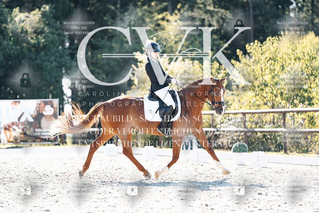 CK905997 | Turnierfotografie Pferdefotografie Trier Rheinland-Pfalz Pferdesport Reitsport Tierfotografie Sportfotografie Pferdevideo Pferdevideografie Equestrianvideography equestrianphotography  - Realisiert mit Pictrs.com